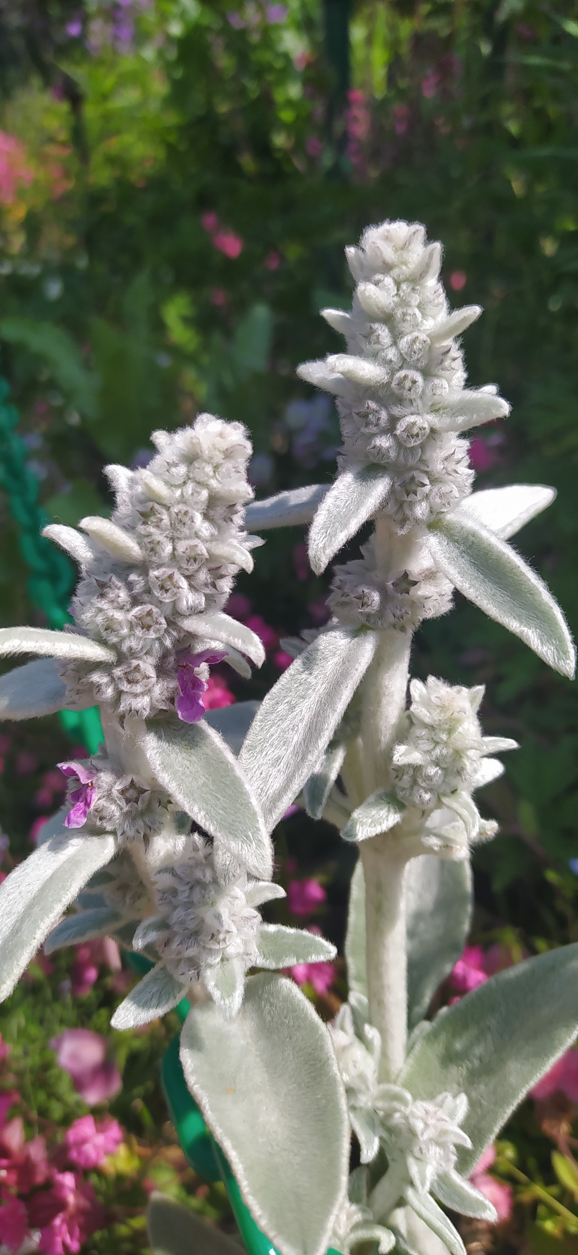 Photo n° 10 de l'avis de Beatrice.o fait le 30/05/2023 à 07:55