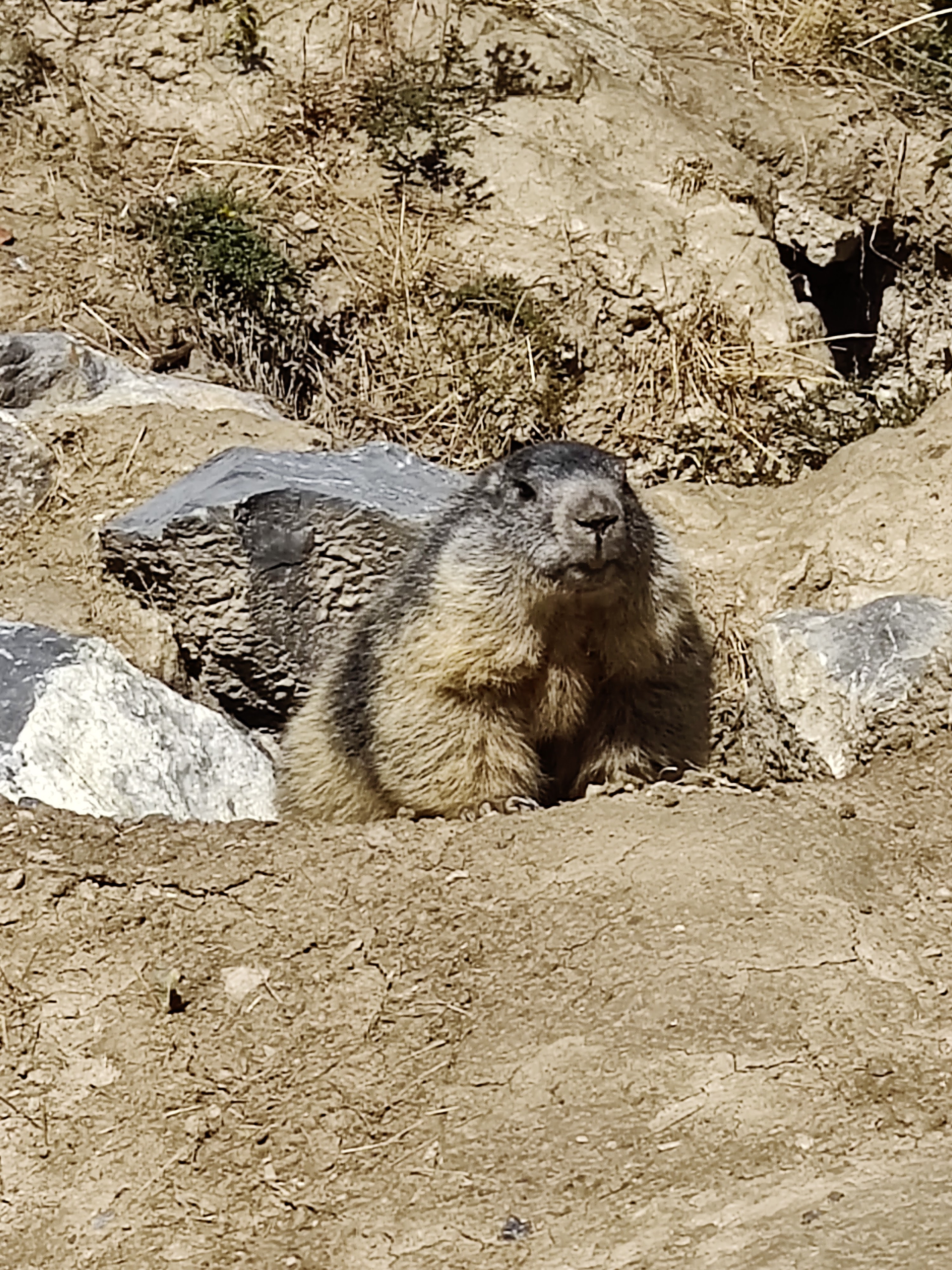 Photo n° 13 de l'avis de Julien.o fait le 14/08/2020 à 12:49