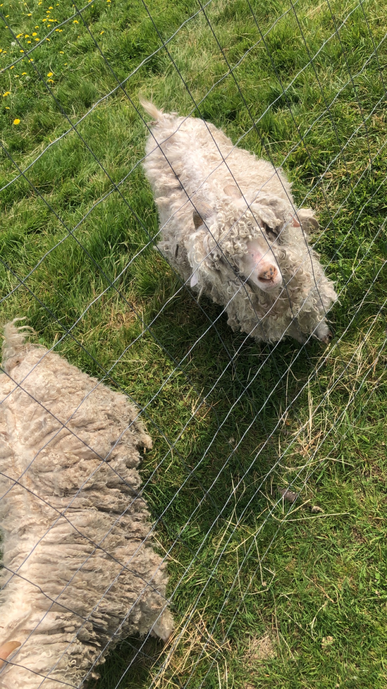 Photo n° 1 de l'avis de Maëva.a fait le 25/04/2019 à 07:51