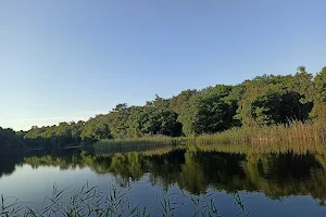 İmrahor Pond image
