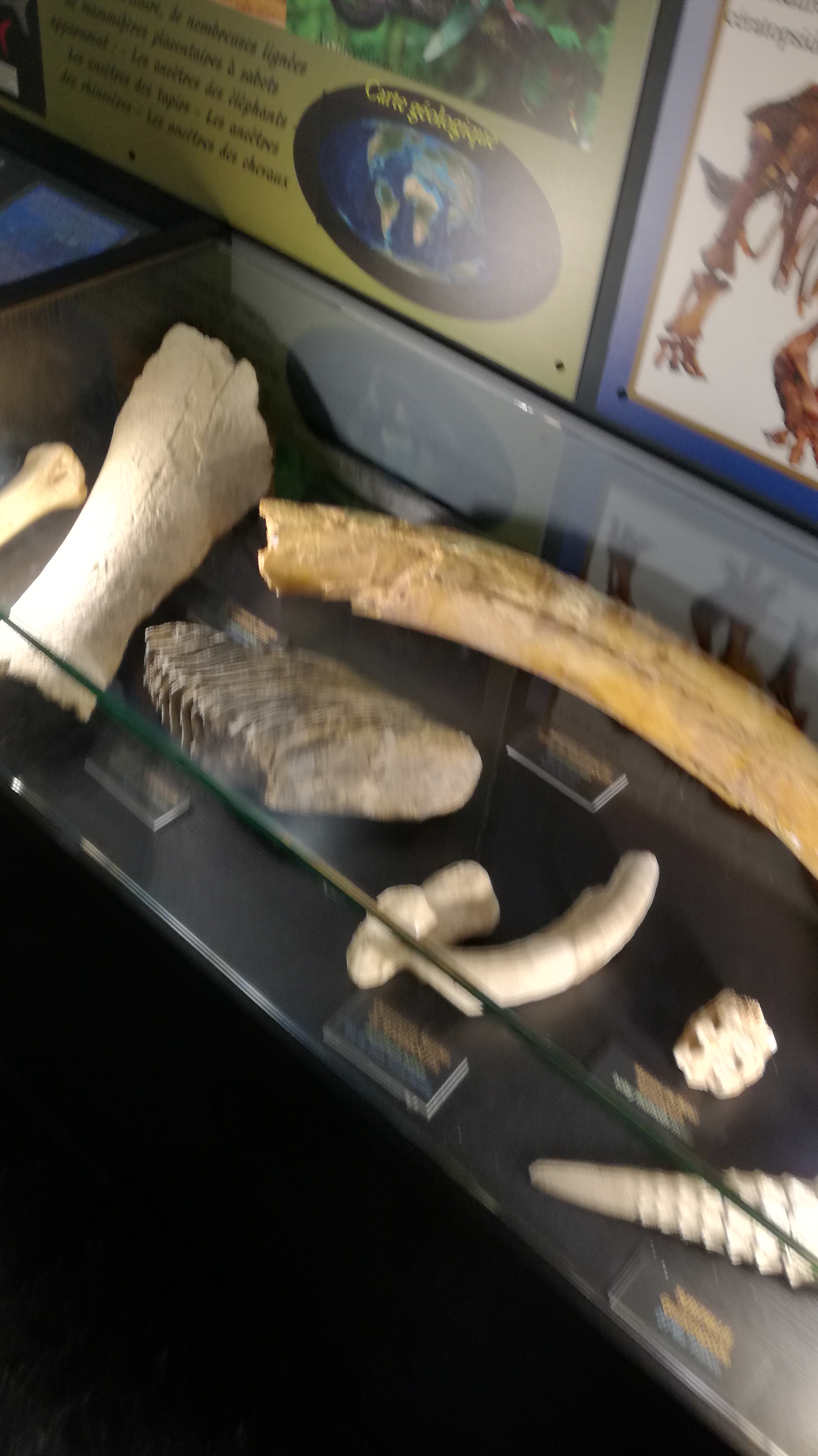 Photo n° 7 de l'avis de lhermenault.h fait le 19/07/2018 à 12:51