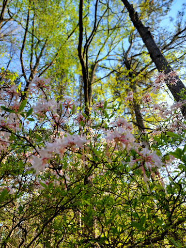 Government Office «Bear Hollow Wildlife Trail», reviews and photos, 293 Gran Ellen Dr, Athens, GA 30606, USA