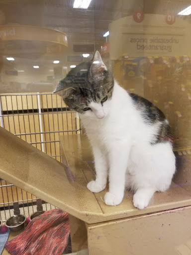 Pet Supply Store «PetSmart», reviews and photos, 412 Constant Friendship Blvd, Abingdon, MD 21009, USA