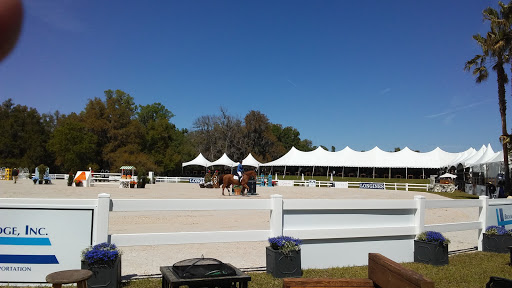 Zoo «Petting zoo Ocala», reviews and photos, 11150 FL-40, Ocala, FL 34482, USA