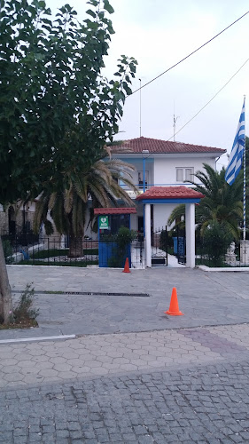 Λεπτοκαρυά 600 63