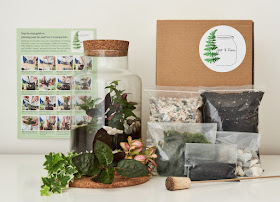 Jar and Fern - Terrarium kits and virtual terrarium workshops