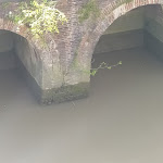 Photo n°2 de l'avis de Bernhard.i fait le 21/05/2022 à 05:38 sur le  Torhaus Restaurant & Cafe à Brunsbüttel