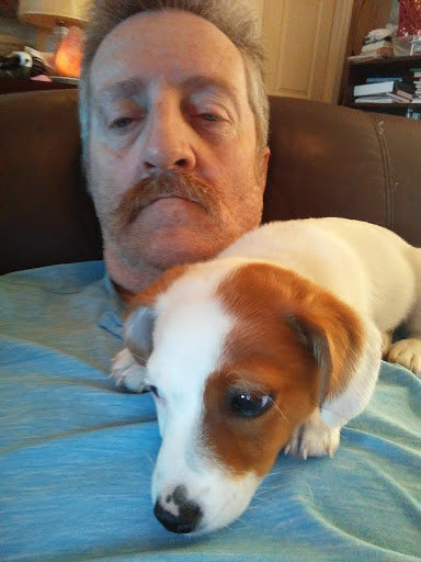 Pet Supply Store «Petco Animal Supplies», reviews and photos, 11147 Park Blvd N, Seminole, FL 33772, USA