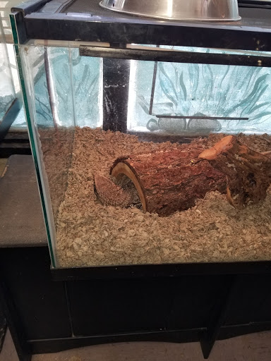 Pet Supply Store «College Greens Pet Center», reviews and photos, 3311 Julliard Dr # A, Sacramento, CA 95826, USA