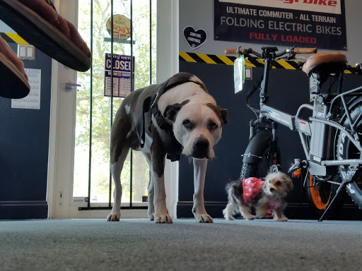 Bicycle Store «Electric Bike Shop», reviews and photos, 606 SW Bayshore Blvd, Port St Lucie, FL 34983, USA