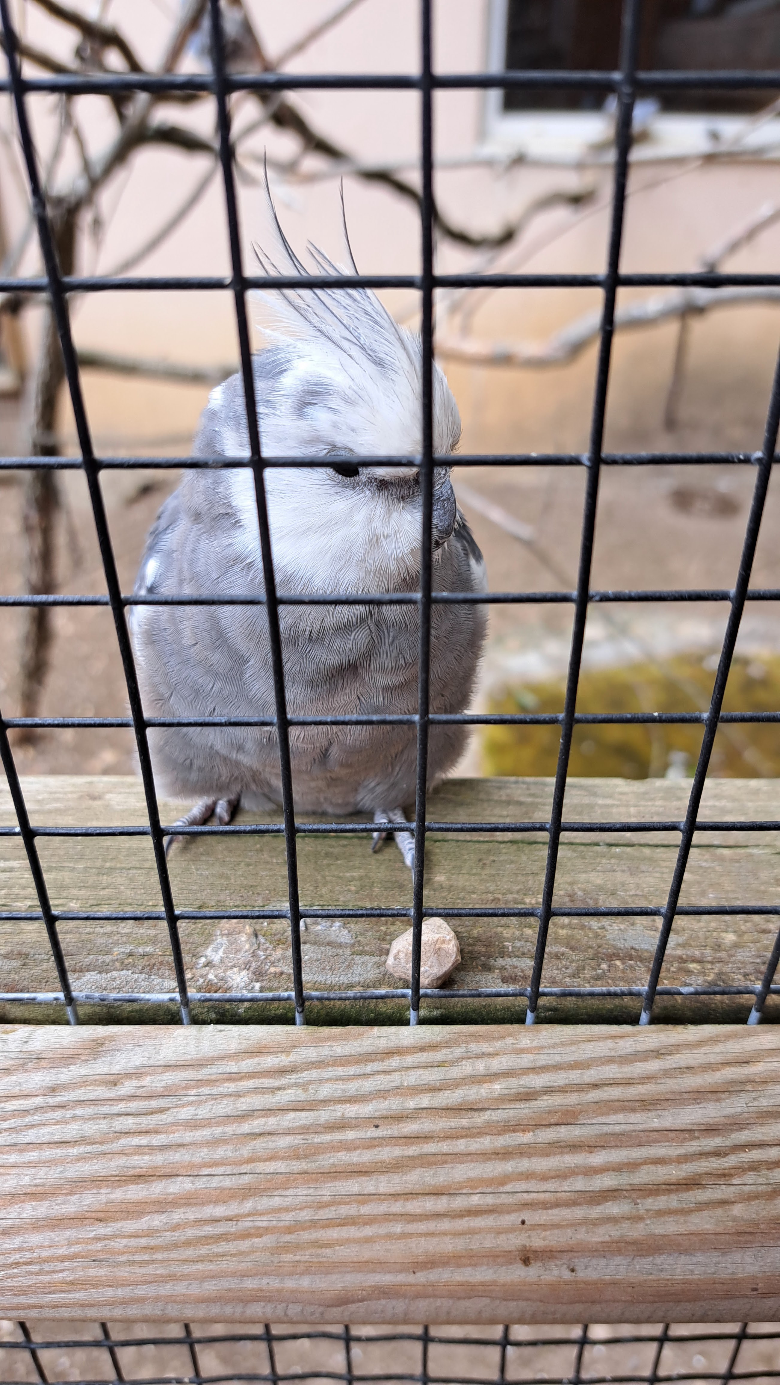 Photo n° 5 de l'avis de gijsbert. fait le 15/08/2023 à 14:08