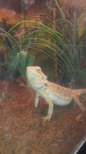 Pet Store «Feed-Rite Pet Supply», reviews and photos, 2979 Fort St, Lincoln Park, MI 48146, USA