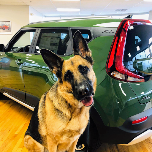 Kia Dealer «Price Kia», reviews and photos, 1390 Richmond Rd, Charlottesville, VA 22911, USA