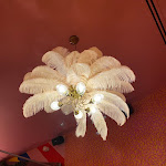 Photo n° 1 de l'avis de Manon.q fait le 26/06/2023 à 12:33 pour BACKYARD - Brique House à Bordeaux