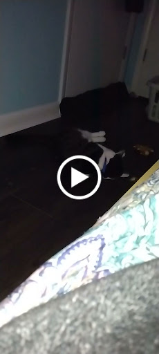 Liquor Store «Dewey Beach Liquors», reviews and photos, 1807 Coastal Hwy, Rehoboth Beach, DE 19971, USA