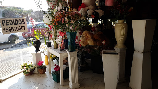 Cheap flower stores Cordoba