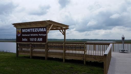 National Reserve «Montezuma National Wildlife Refuge», reviews and photos, 3395 US-20, Seneca Falls, NY 13148, USA