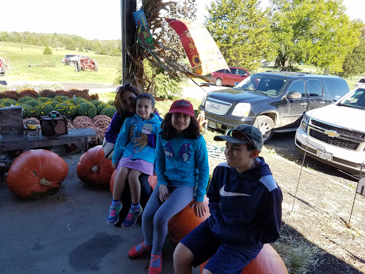 Produce Market «Buckland Farm Market», reviews and photos, 4484 Lee Hwy, Warrenton, VA 20187, USA