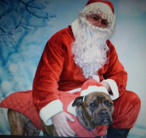 Pet Supply Store «Petco Animal Supplies», reviews and photos, 205 Palm Bay Rd NE #155, West Melbourne, FL 32904, USA