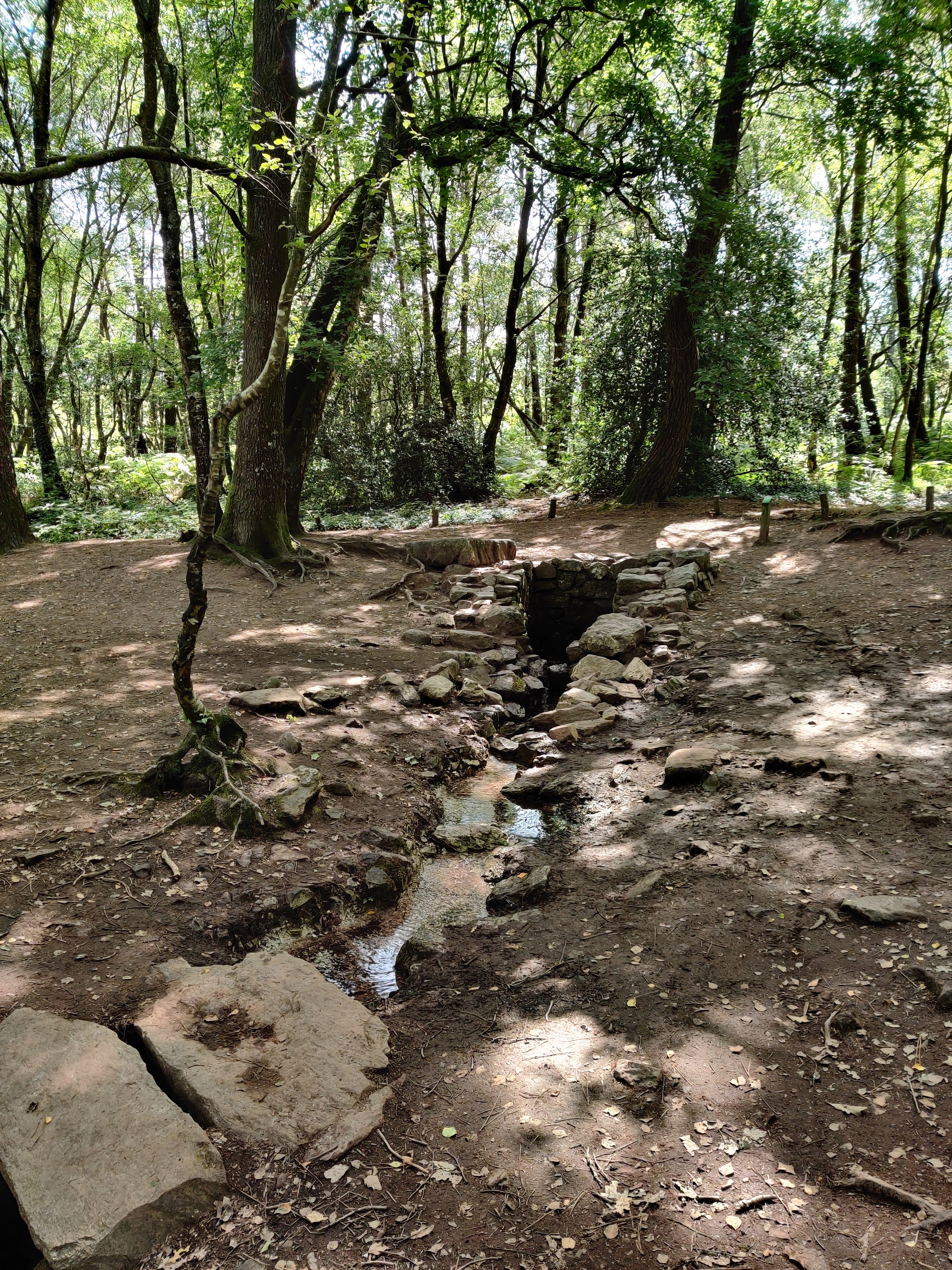 Photo n° 1 de l'avis de Laurence.i fait le 18/07/2021 à 17:34