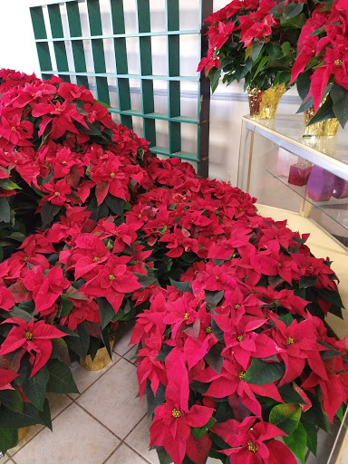 Florist «Grace Harper Florist, Inc.», reviews and photos, 4135 Woodward Ave, Detroit, MI 48201, USA