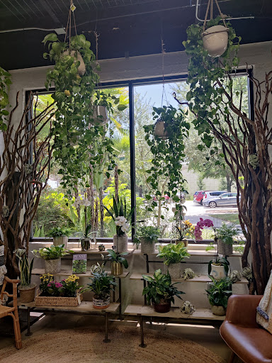 Florist «In Bloom Florist- Orlando, Florida», reviews and photos, 325 W Gore St, Orlando, FL 32806, USA