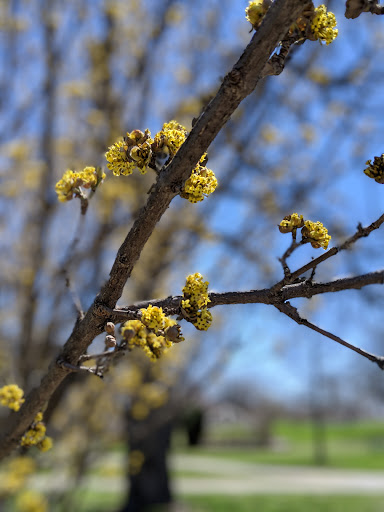 Park «Paulus Park», reviews and photos, 200 S Rand Rd, Lake Zurich, IL 60047, USA