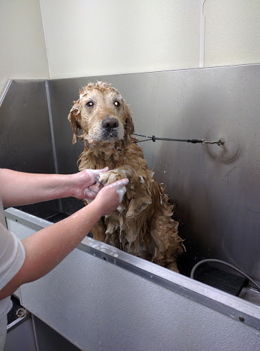 Pet Supply Store «Pet Depot Inc», reviews and photos, 2151 Greenspring Dr, Lutherville-Timonium, MD 21093, USA