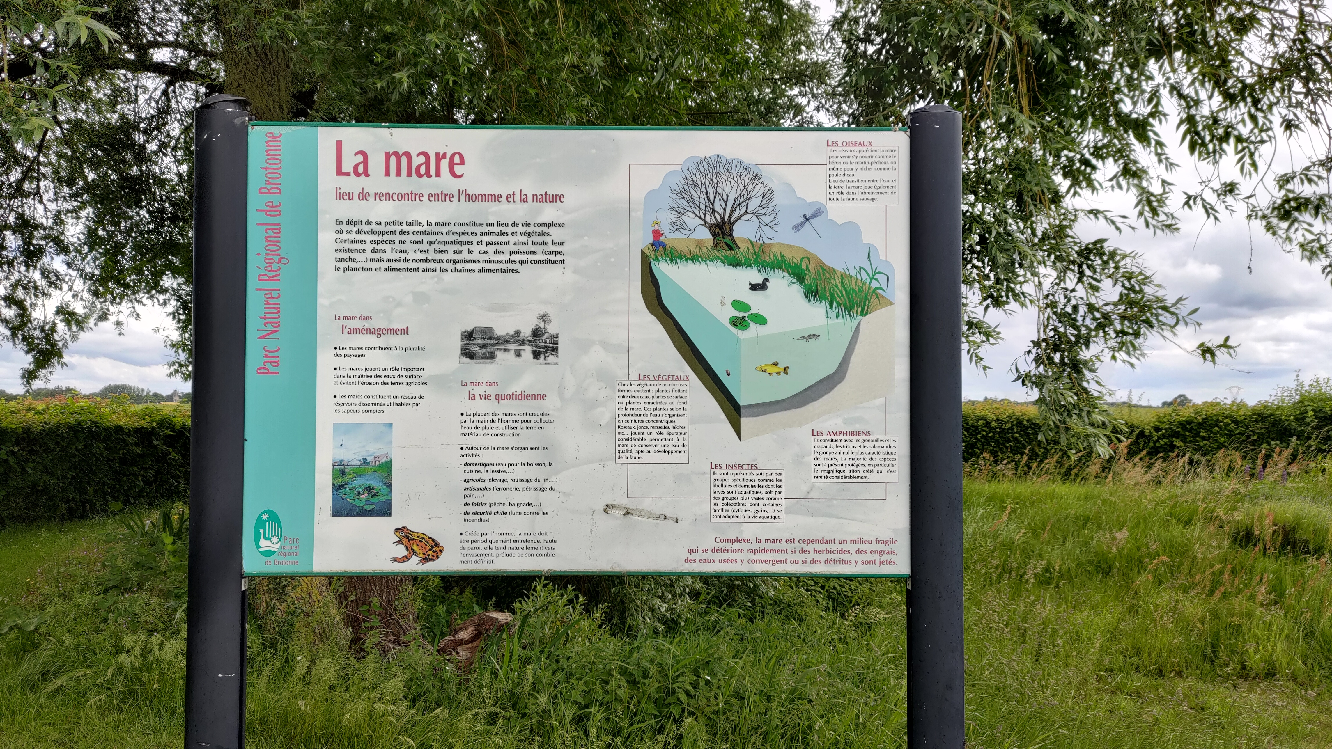 Photo n° 44 de l'avis de jean-philippe.a fait le 06/06/2022 à 11:13
