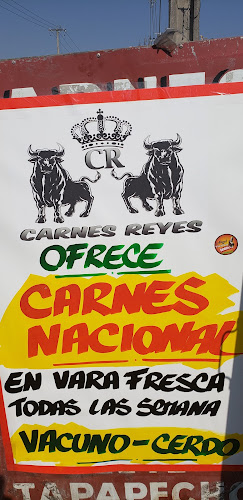 Carnes Reyes Puente Alto - Carnicería