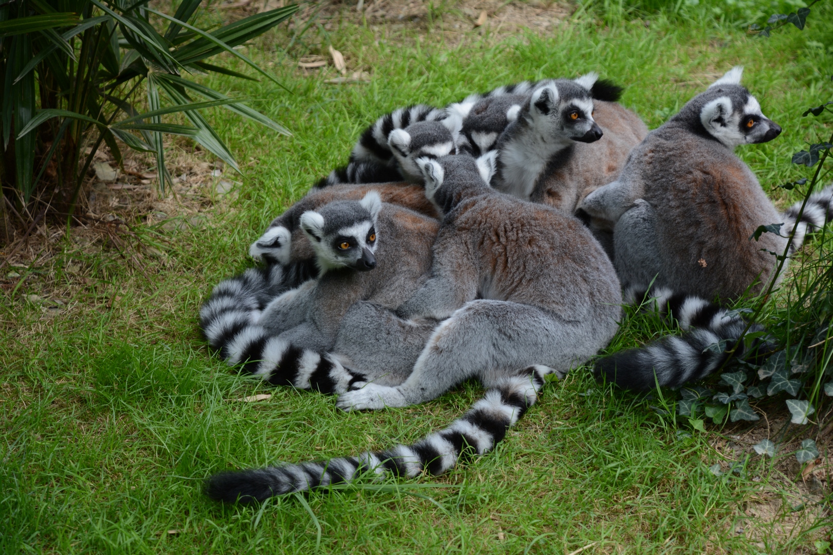 Photo n° 8 de l'avis de Laurent.E fait le 19/09/2023 à 20:20