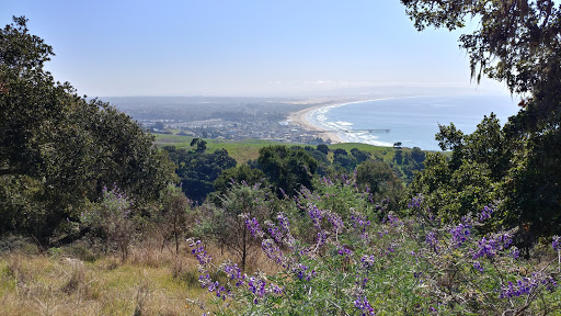 Nature Preserve «Pismo Preserve», reviews and photos, Mattie Rd, Pismo Beach, CA 93449, USA