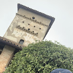 Photo n°3 de l'avis de Lucia.a fait le 12/05/2023 à 03:52 sur le  Ristorante Alla Colombera à Altivole