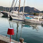 Photo n°2 de l'avis de Martina.r fait le 19/08/2023 à 16:32 sur le  Molo G Osteria Portuale à Portoferraio