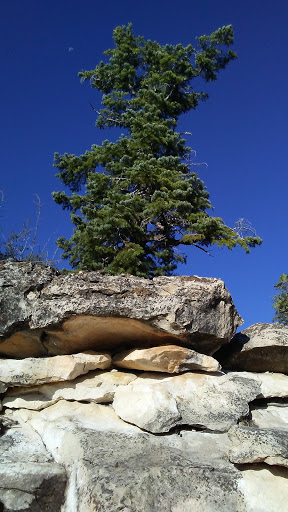 Amusement Center «Sky Zone Trampoline Park», reviews and photos, 7440 Dean Martin Dr #201, Las Vegas, NV 89139, USA