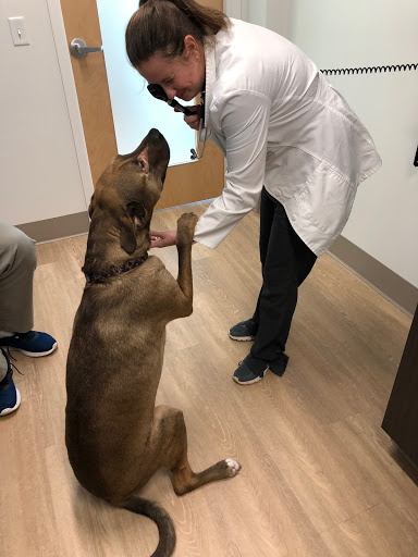 WellHaven Pet Health Maple Grove, MN image