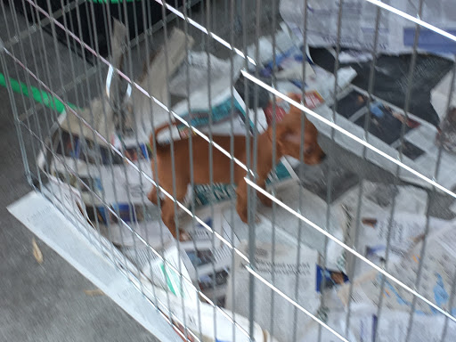 Pet Supply Store «Pet Food Express», reviews and photos, 3910 Middlefield Rd, Palo Alto, CA 94303, USA