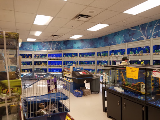 Pet Supply Store «PetSmart», reviews and photos, 6535 Frontier Dr, Springfield, VA 22150, USA