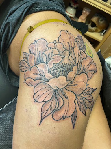 Hall of Tattoos, 328 E Main St, Norman, OK 73069, USA, 