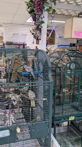Pet Store «Discount Pet & Supplies», reviews and photos, 16320 Middlebelt Rd, Livonia, MI 48154, USA