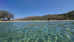 Kato Fana beach'in fotoğrafı doğal alan içinde bulunmaktadır