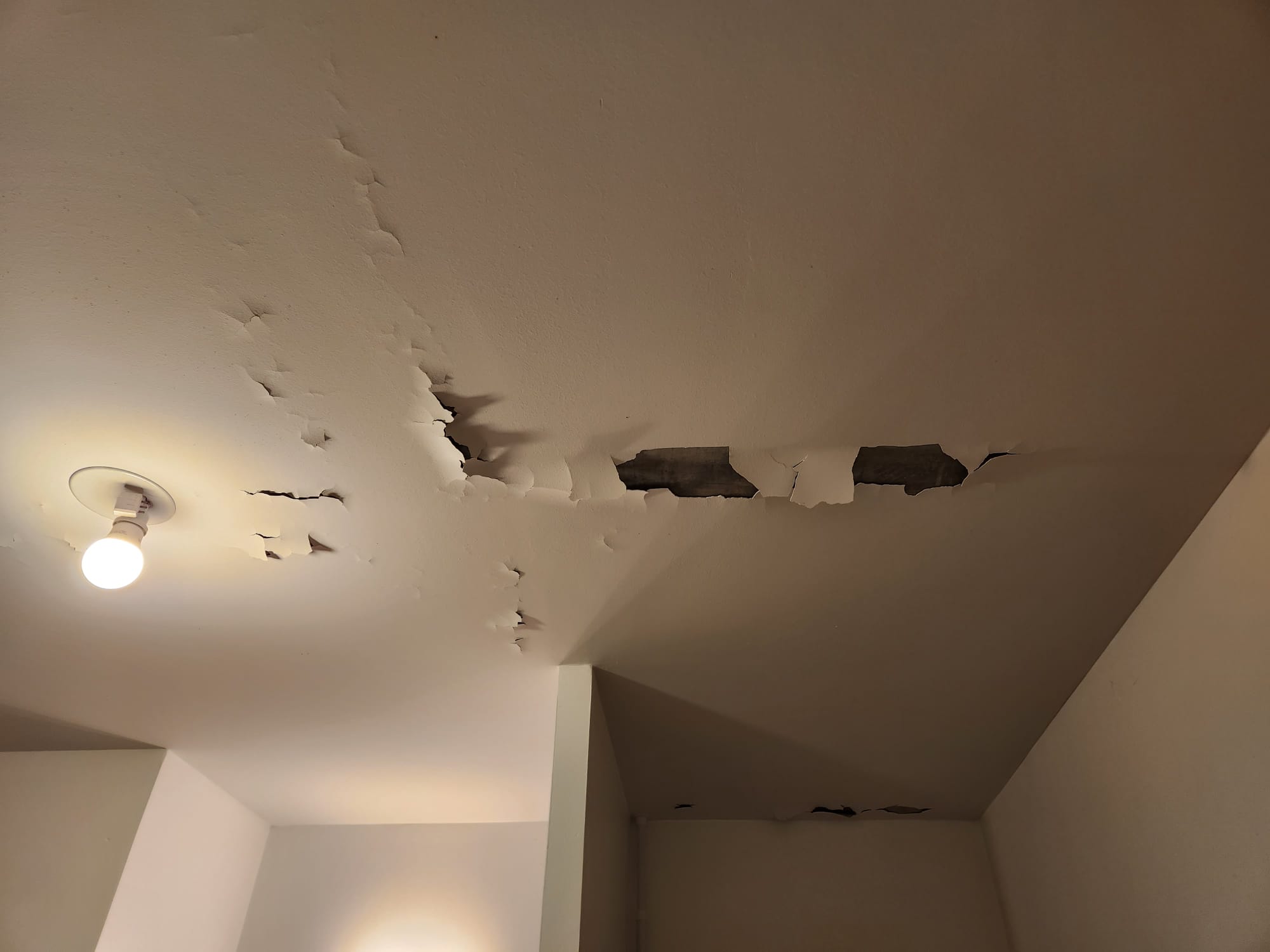 Photo n° 5 de l'avis de E.N fait le 31/12/2022 à 21:24