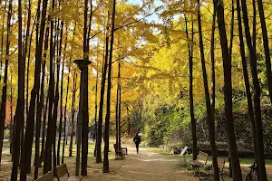 Seoul Forest Park image
