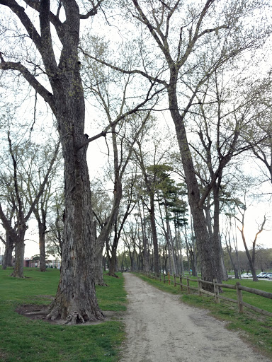 Public Golf Course «Elmwood 18 Hole Golf Course», reviews and photos, 6232 Pacific St, Omaha, NE 68106, USA