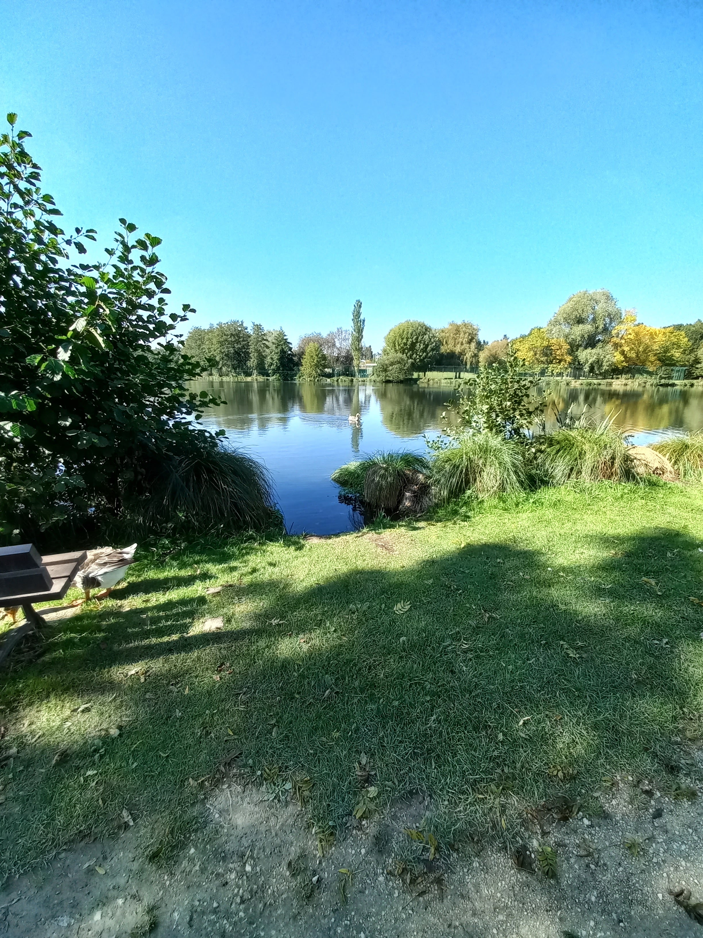 Photo n° 10 de l'avis de Lucien.e fait le 08/07/2019 à 10:52