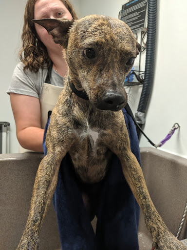 Pet Supply Store «Pet Place Market», reviews and photos, 213 Bendigo Blvd N #2, North Bend, WA 98045, USA