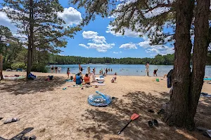 Myles Standish State Forest image