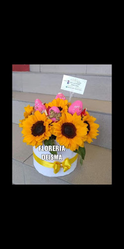 Florería DEISMA