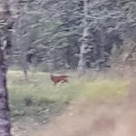 Photo n°8 de l'avis de Rankoussi.a fait le 11/01/2017 à 11:22 sur le  Ristorante Pizzeria Le Macine à Montefollonico