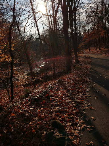 Recreation Center «Arlington Mill Community Center», reviews and photos, 909 S Dinwiddie St, Arlington, VA 22204, USA